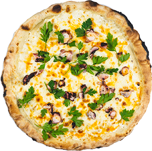 Pizza Pulpo