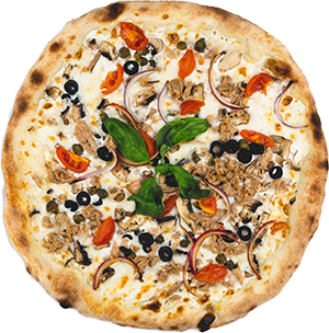 Pizza Tuna2